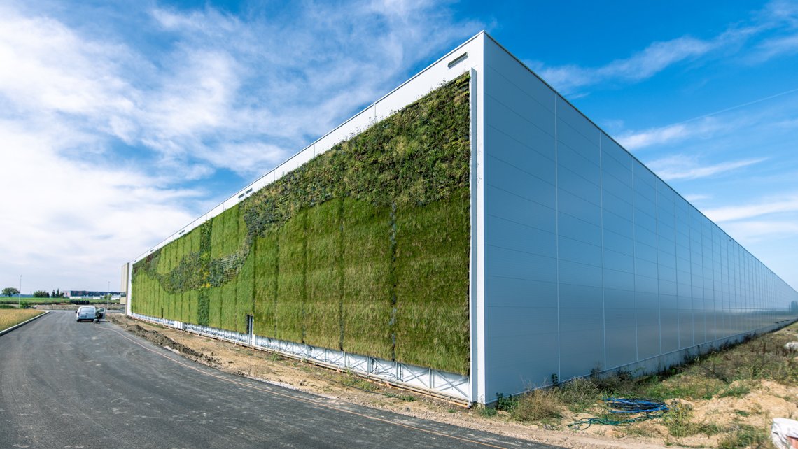 Největší souvislá vertikální zahrada v Česku: Unikátní vědecký projekt ukazuje nové možnosti, jak vyřešit tepelné ostrovy