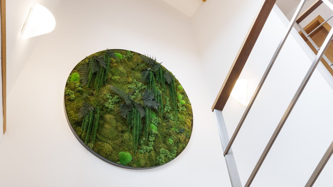 Mechové obrazy aneb kouzlo lesa v interiéru